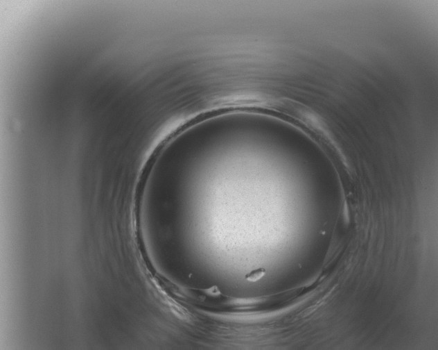 X0000062631328200512231003