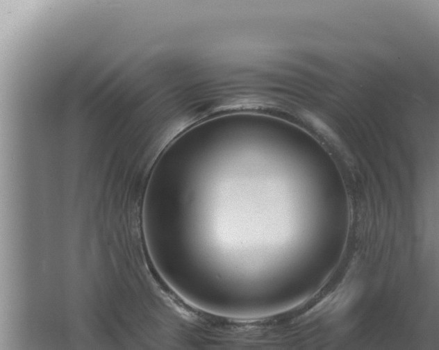 X0000062631329200512231003