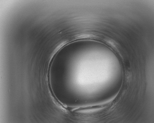 X0000062631330200512231003