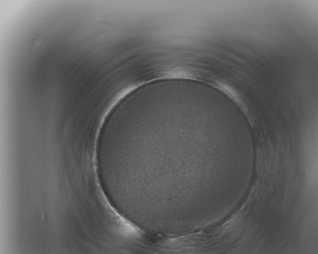 X0000062631331200512231003