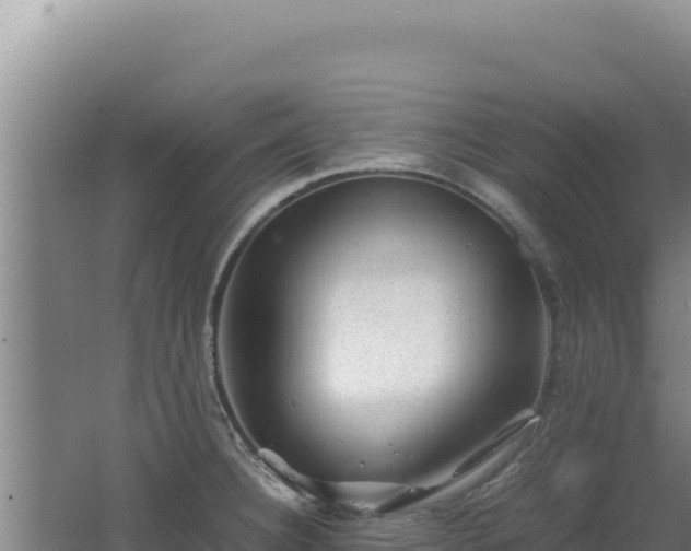 X0000062631332200512231003