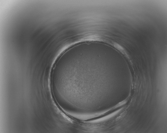 X0000062631334200512231003