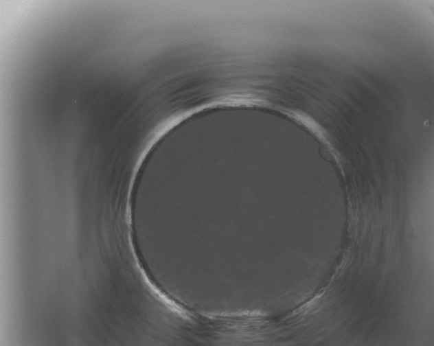 X0000062631335200512231003