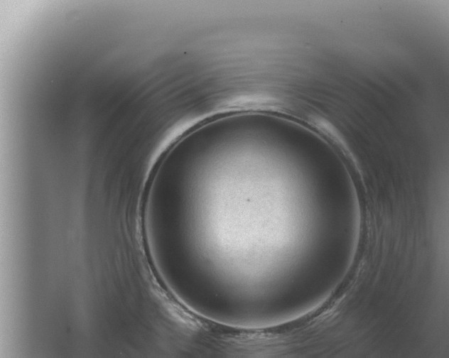 X0000062631336200512231003