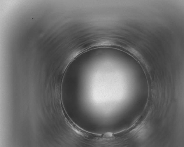 X0000062631337200512231003