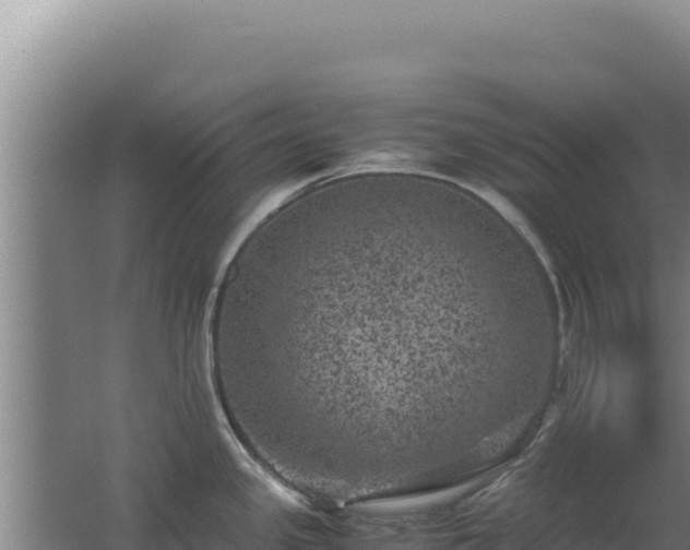 X0000062631341200512231003