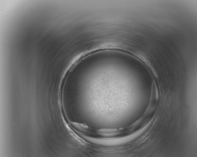 X0000062631342200512231003