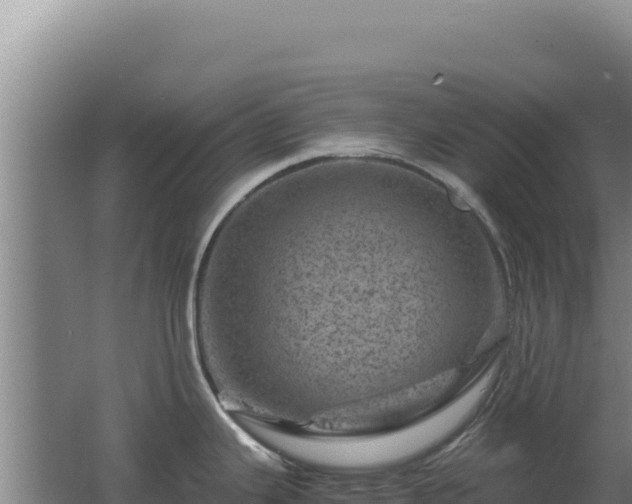 X0000062631343200512231003