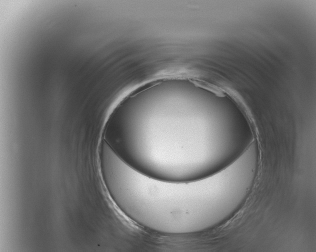 X0000062631344200512231003