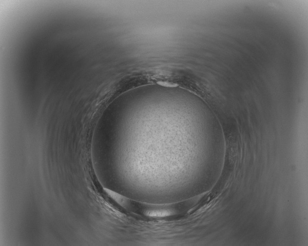 X0000062631345200512231002