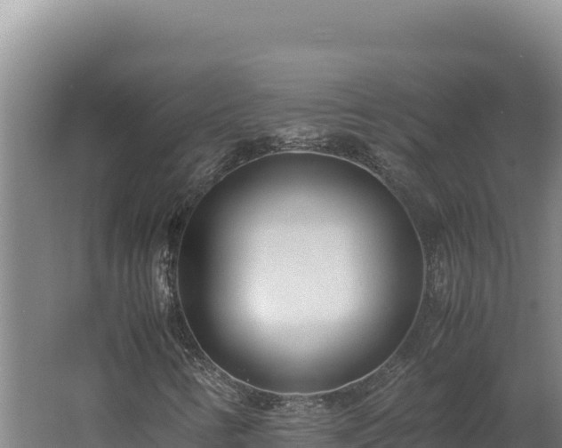 X0000062631346200512231002