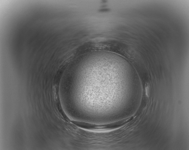 X0000062631347200512231002