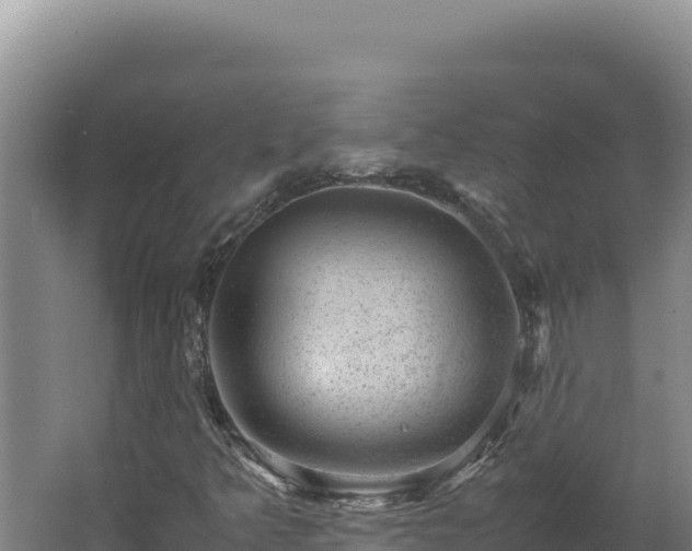 X0000062631349200512231002