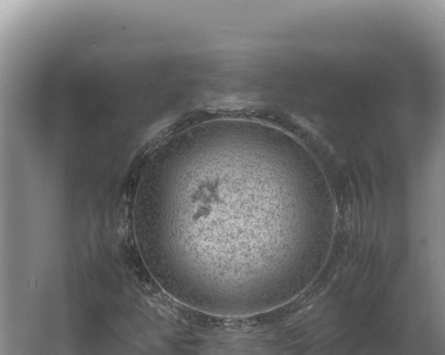 X0000062631350200512231002