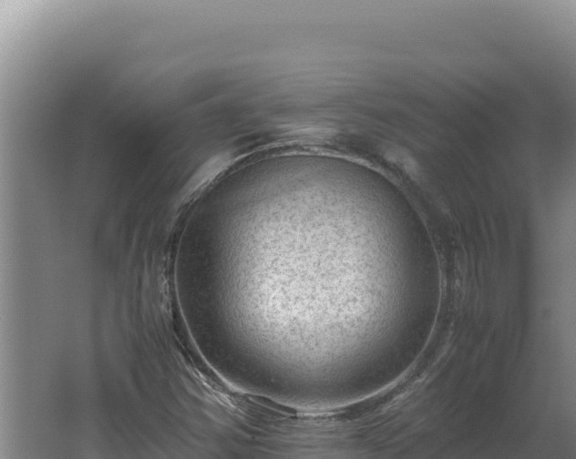 X0000062631354200512231002