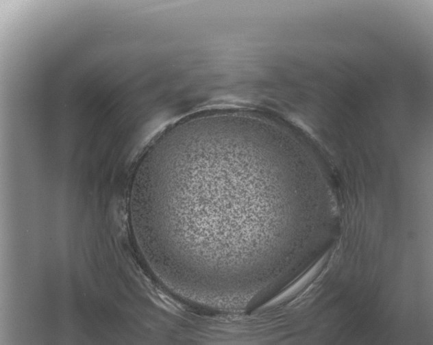 X0000062631355200512231002