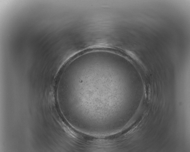 X0000062631356200512231002