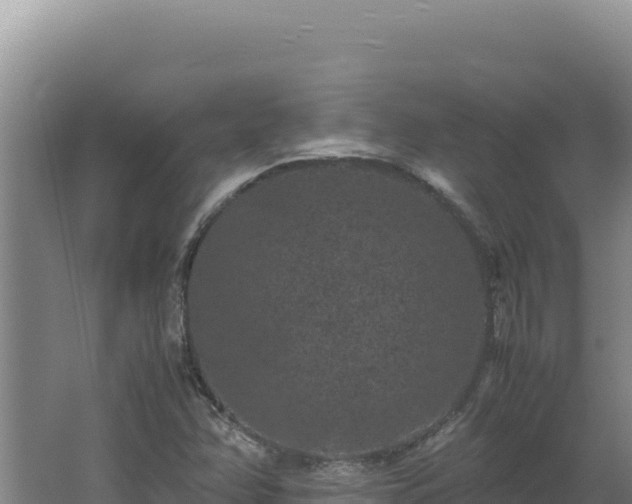 X0000062631358200512231002