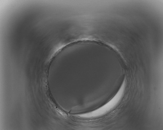 X0000062631359200512231002