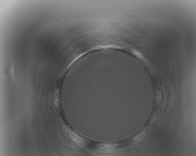 X0000062631361200512231002