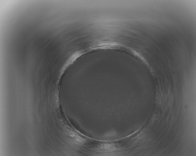 X0000062631362200512231002