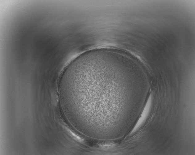 X0000062631363200512231002