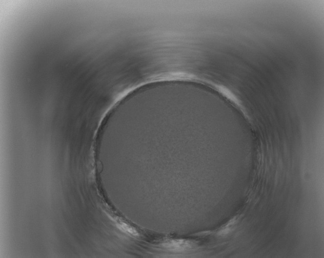 X0000062631364200512231002