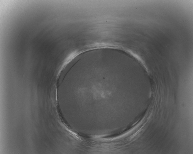 X0000062631365200512231002