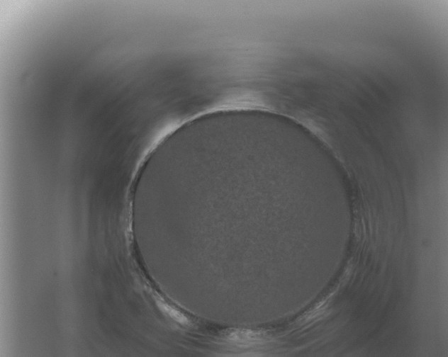 X0000062631366200512231002