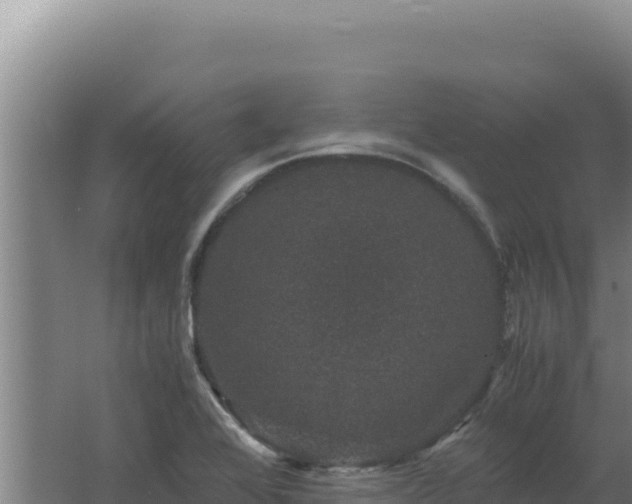 X0000062631368200512231002