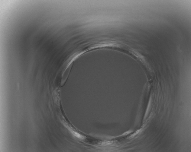 X0000062631369200512231002