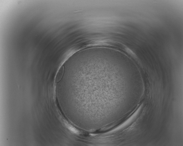 X0000062631370200512231002