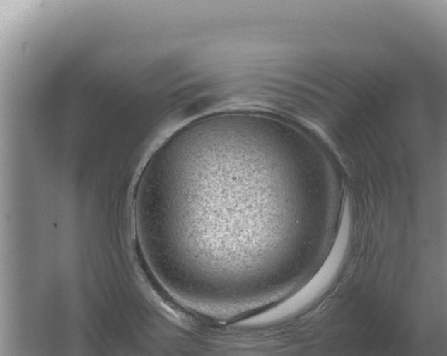 X0000062631371200512231002