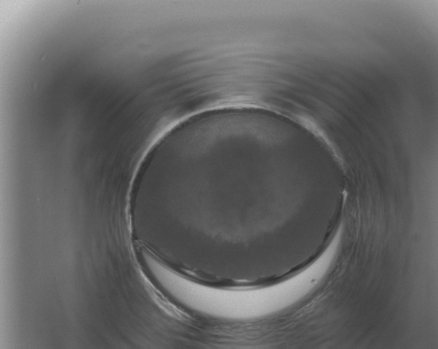 X0000062631372200512231002