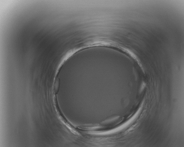 X0000062631373200512231002