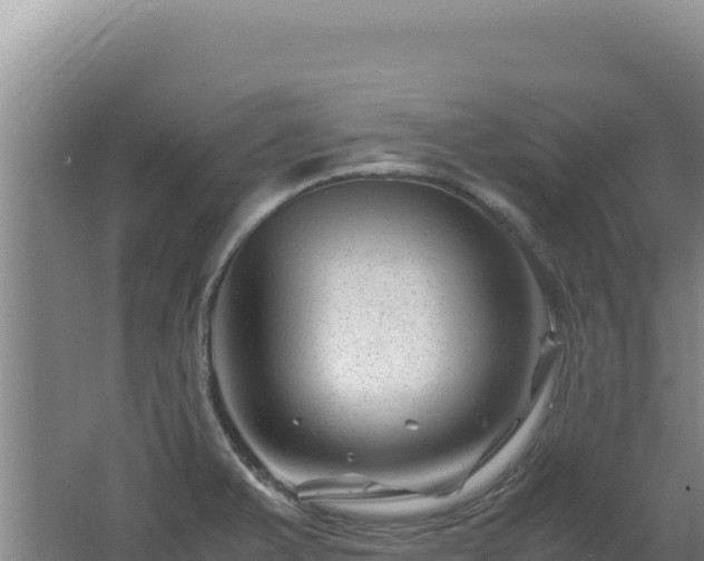 X0000062631375200512231002