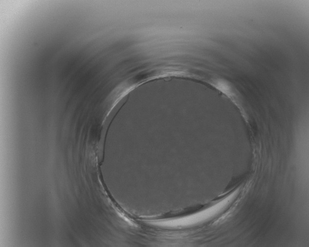 X0000062631377200512231002