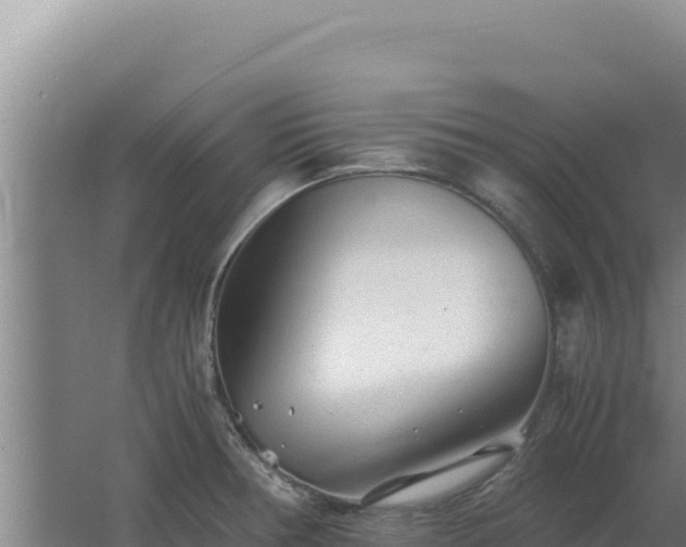 X0000062631378200512231002