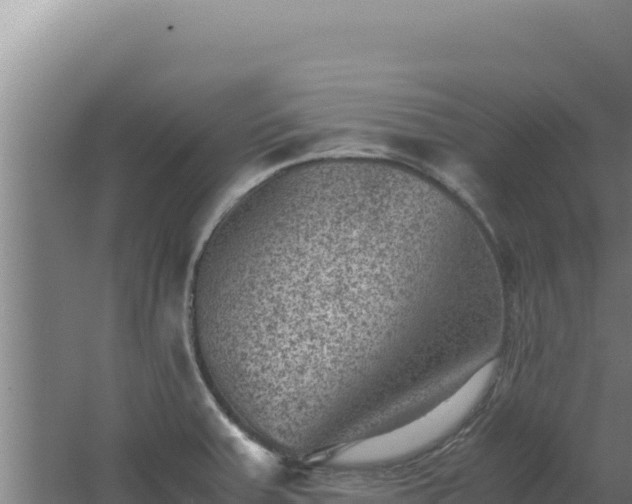 X0000062631379200512231001