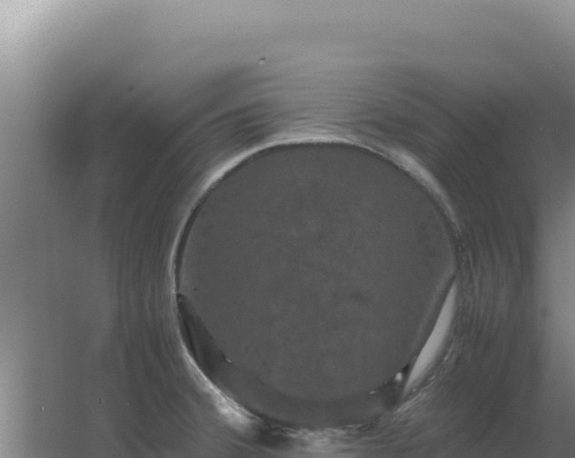 X0000062631380200512231001