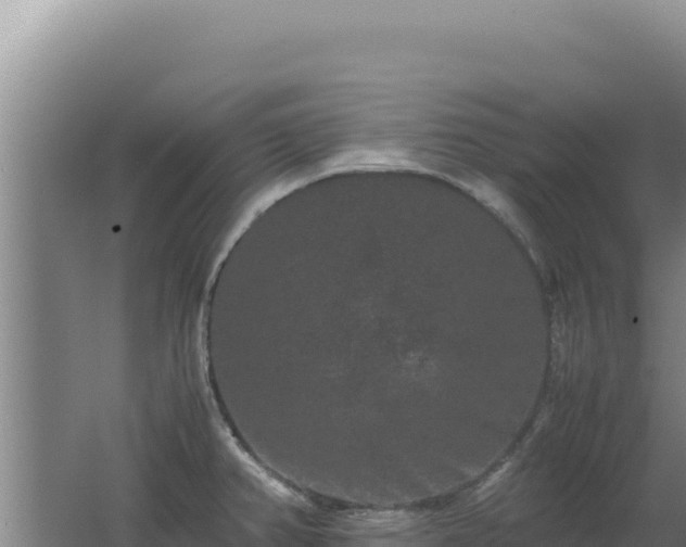 X0000062631382200512231001