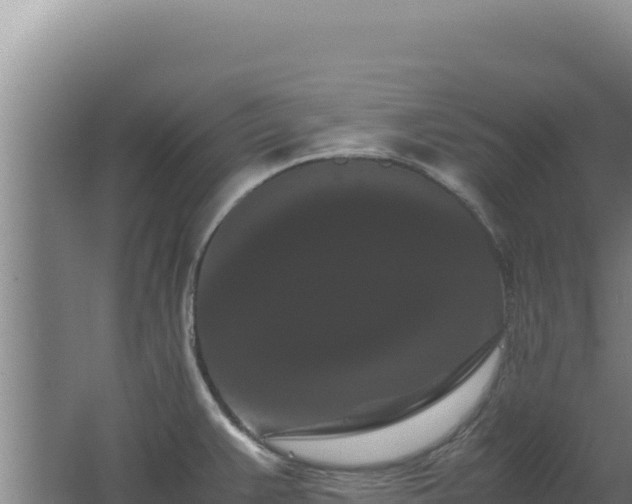 X0000062631383200512231001