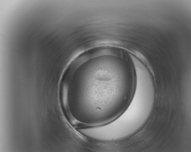 X0000062631384200512231001