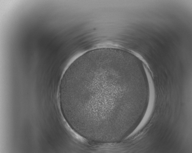 X0000062631387200512231001