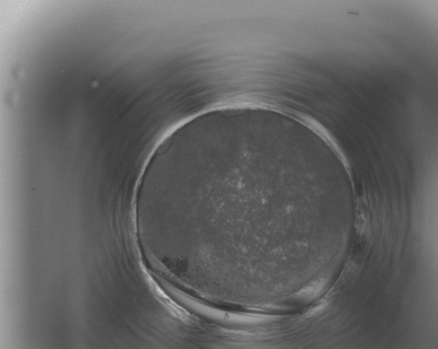 X0000062631388200512231001