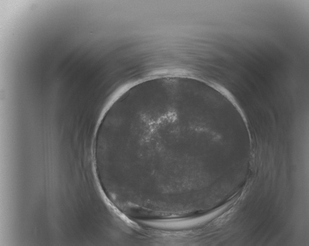 X0000062631389200512231001