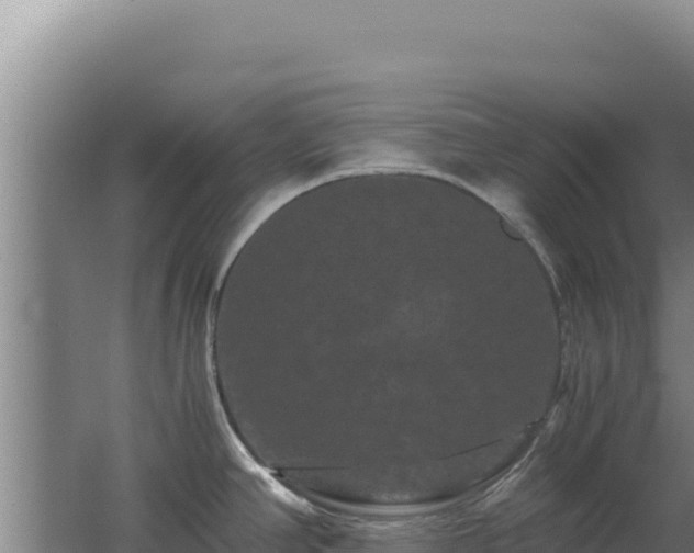 X0000062631390200512231001