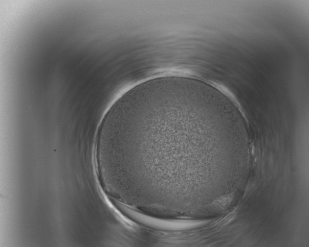 X0000062631391200512231001