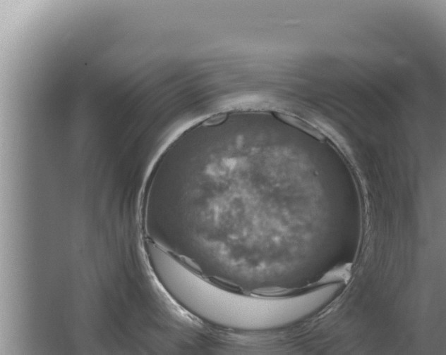 X0000062631392200512231001