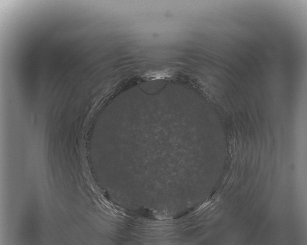 X0000062631393200512231000